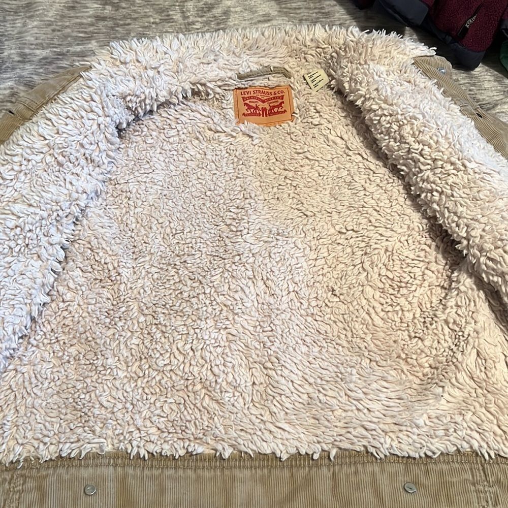Levi's Beige Sherpa Collar Corduroy Trucker Jacket - Picture 3 of 5